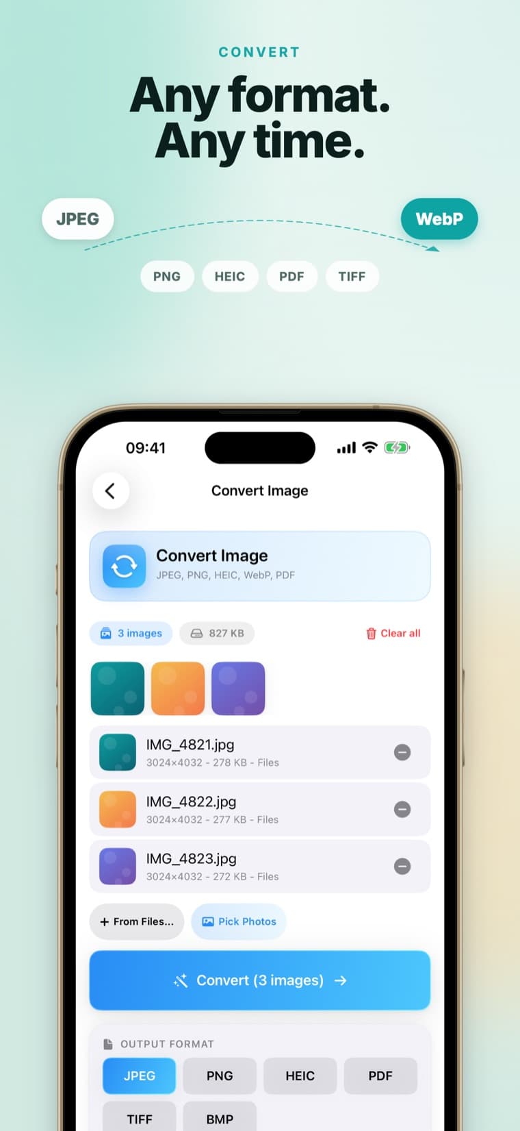 Pixrim convert screen - pick an output format like JPEG, PNG, HEIC or PDF